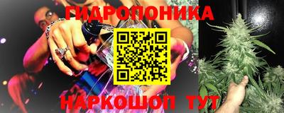 mdma Аргун