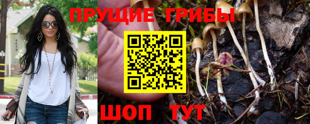Галлюциногенные грибы Cubensis Балабаново